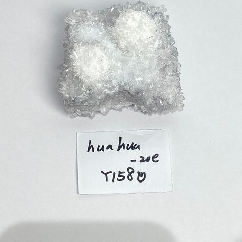 S__84729888_0