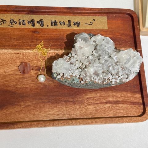 IMG_1824-1739704067433