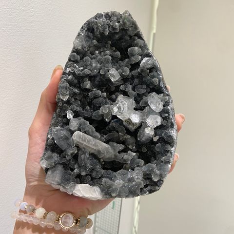 IMG_1826-1739706976626