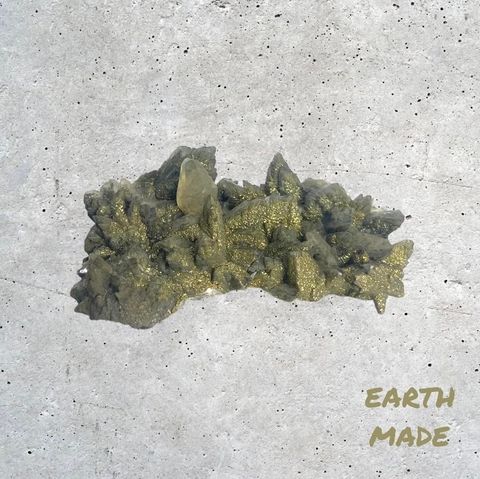 IMG_1850-1739936646967