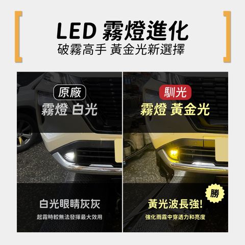 T33 霧燈 (1125) edm-02