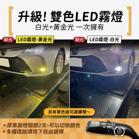 雙色霧燈 EDM (1212)-02