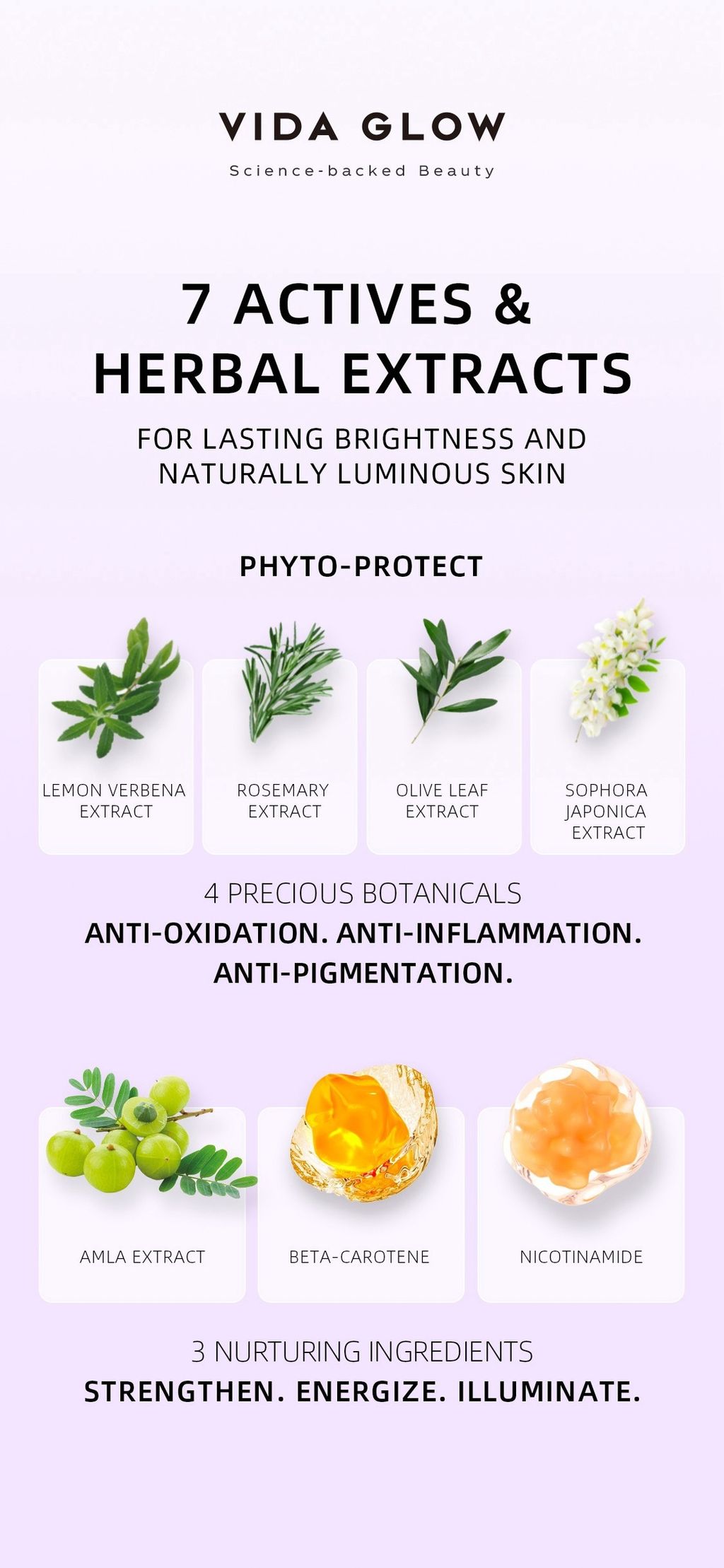 image_8E274A8F-5C00-41C9-AE72-0376FE77528C_1754558969