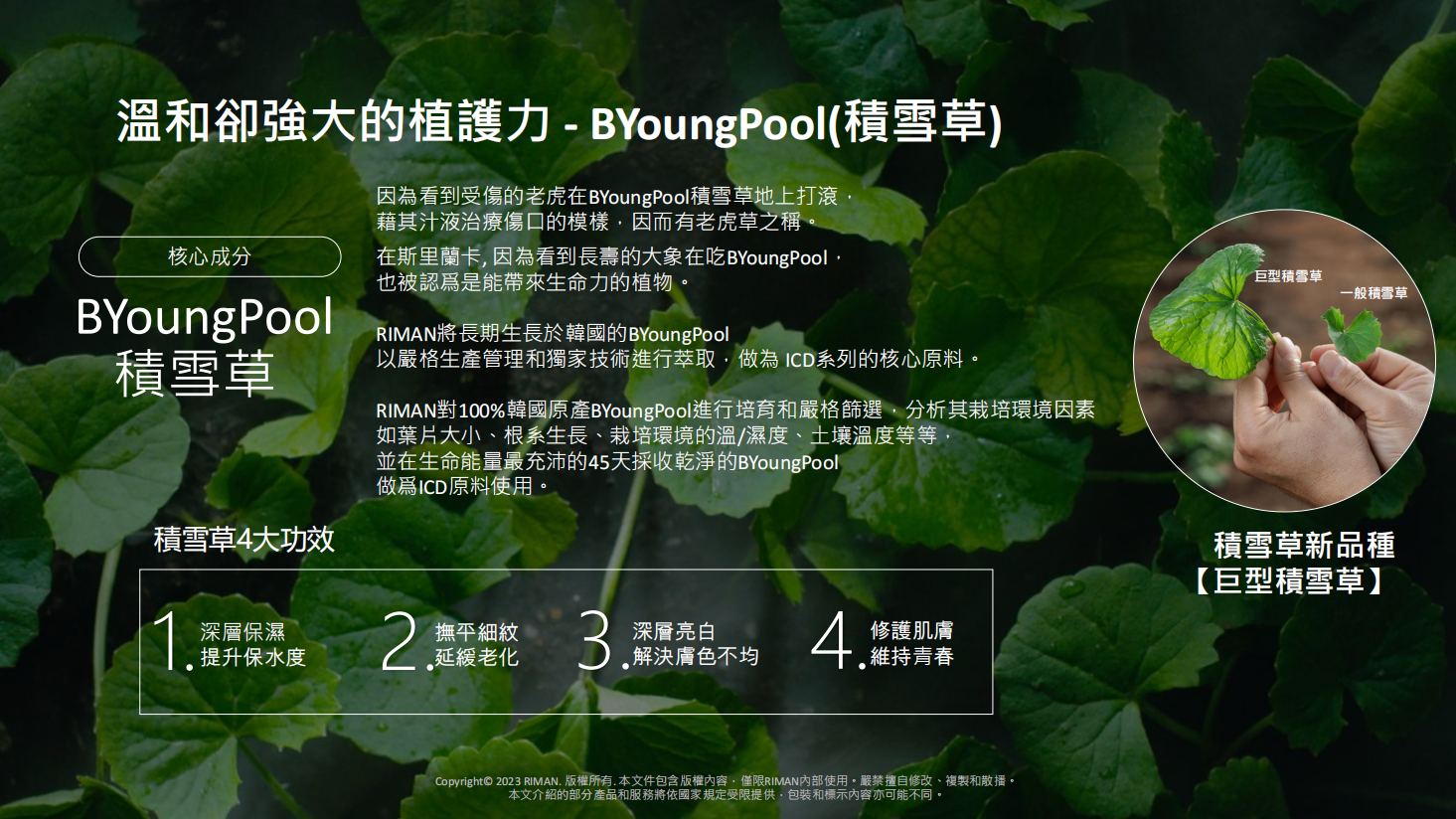 Screenshot 2025-08-27 202420