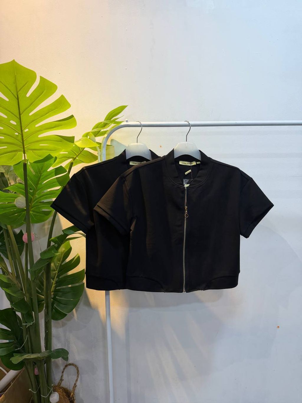 IMG_20260305_150841_754