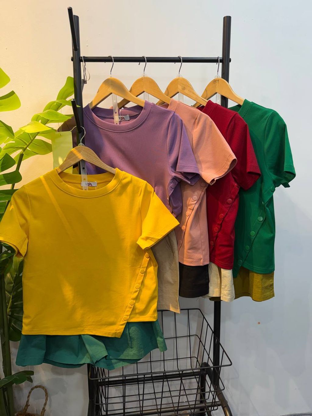 image_BBB0FC79-3957-42A7-A76C-125EE44C51FE_1773212529