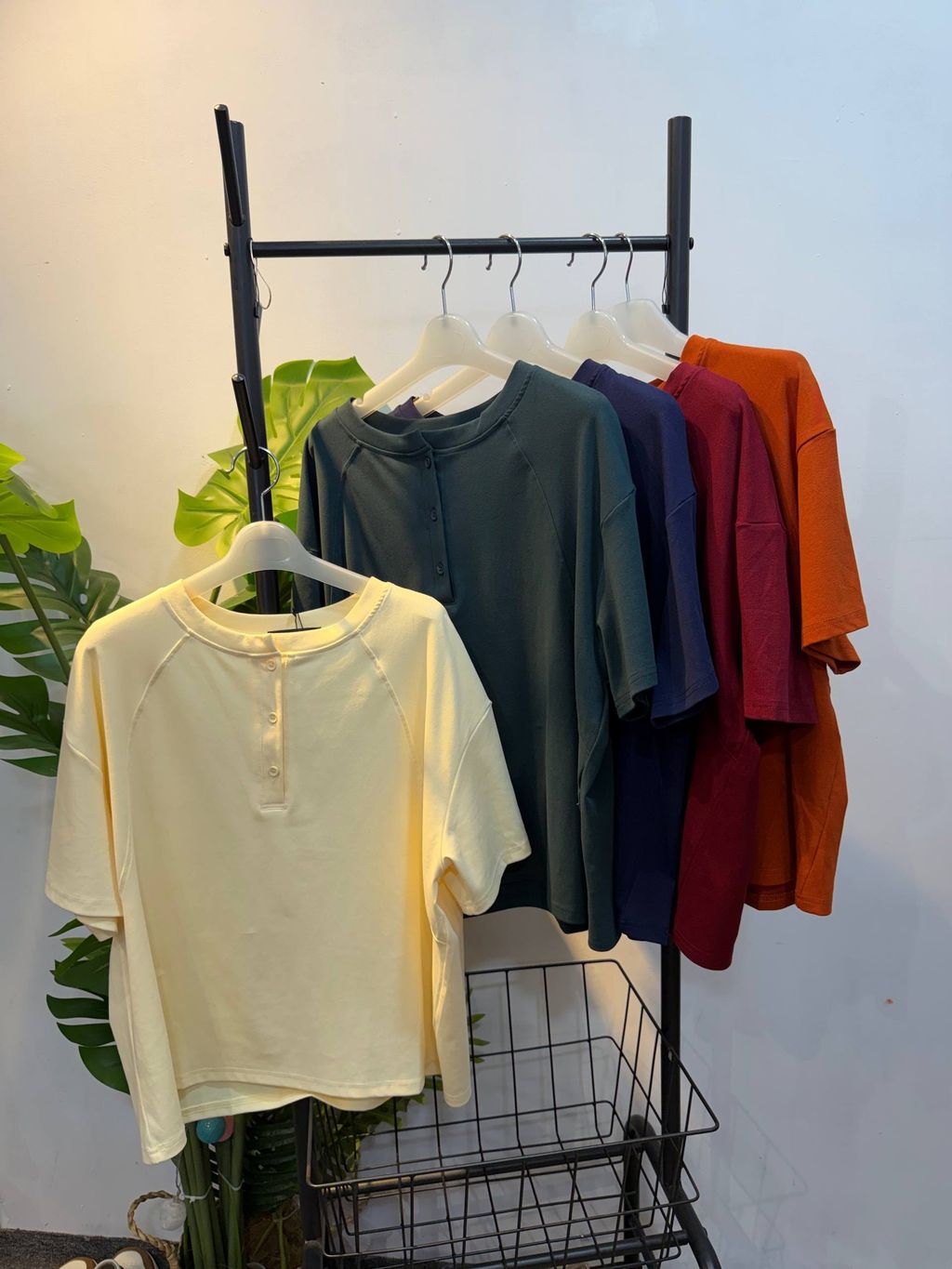 image_B7AC3CEF-8488-42BE-BE63-D43BE26EE484_1776667426