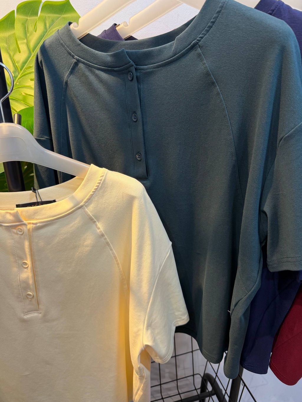 image_C9018F61-E09B-4DBB-B77B-7BC78C7942FA_1776667426