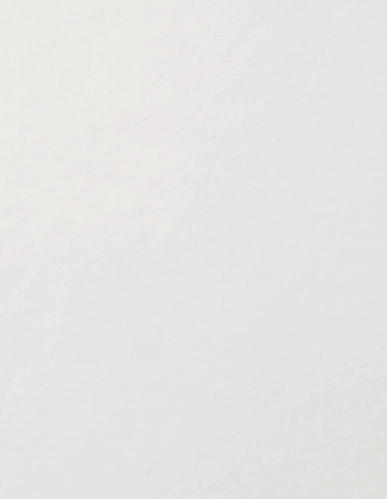 BR_CleansingPowderWash_DFLT