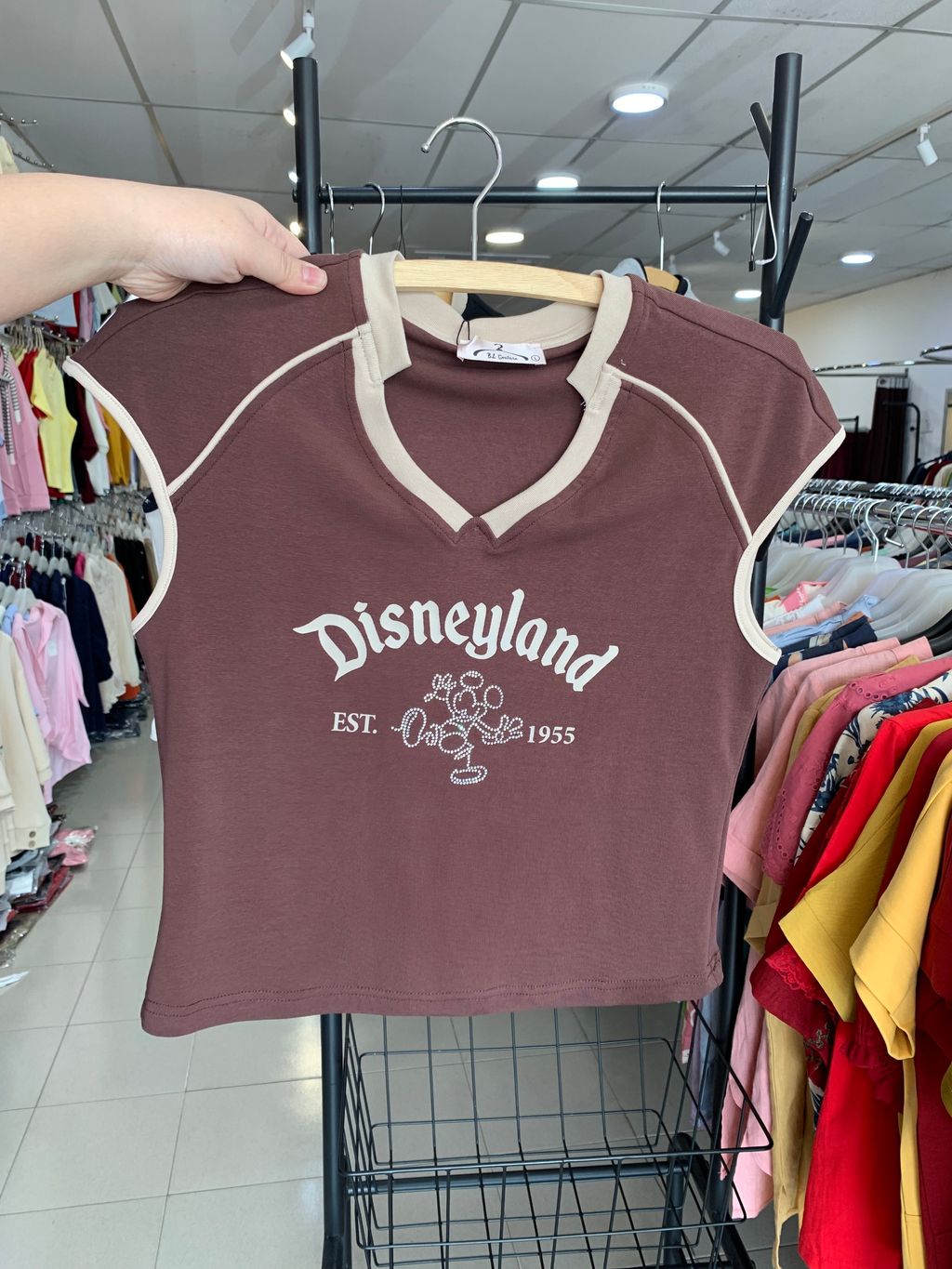 image_F02B34C4-4A0E-40AC-9E6E-D11E2E2BAE9B_1769489484