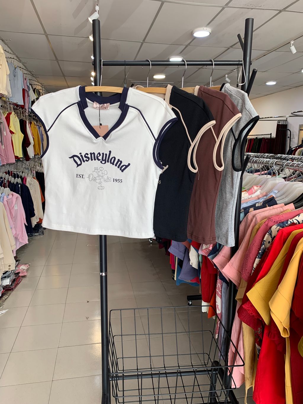 image_C447869B-7ABD-4E57-8C9C-9C6626000F63_1769489484