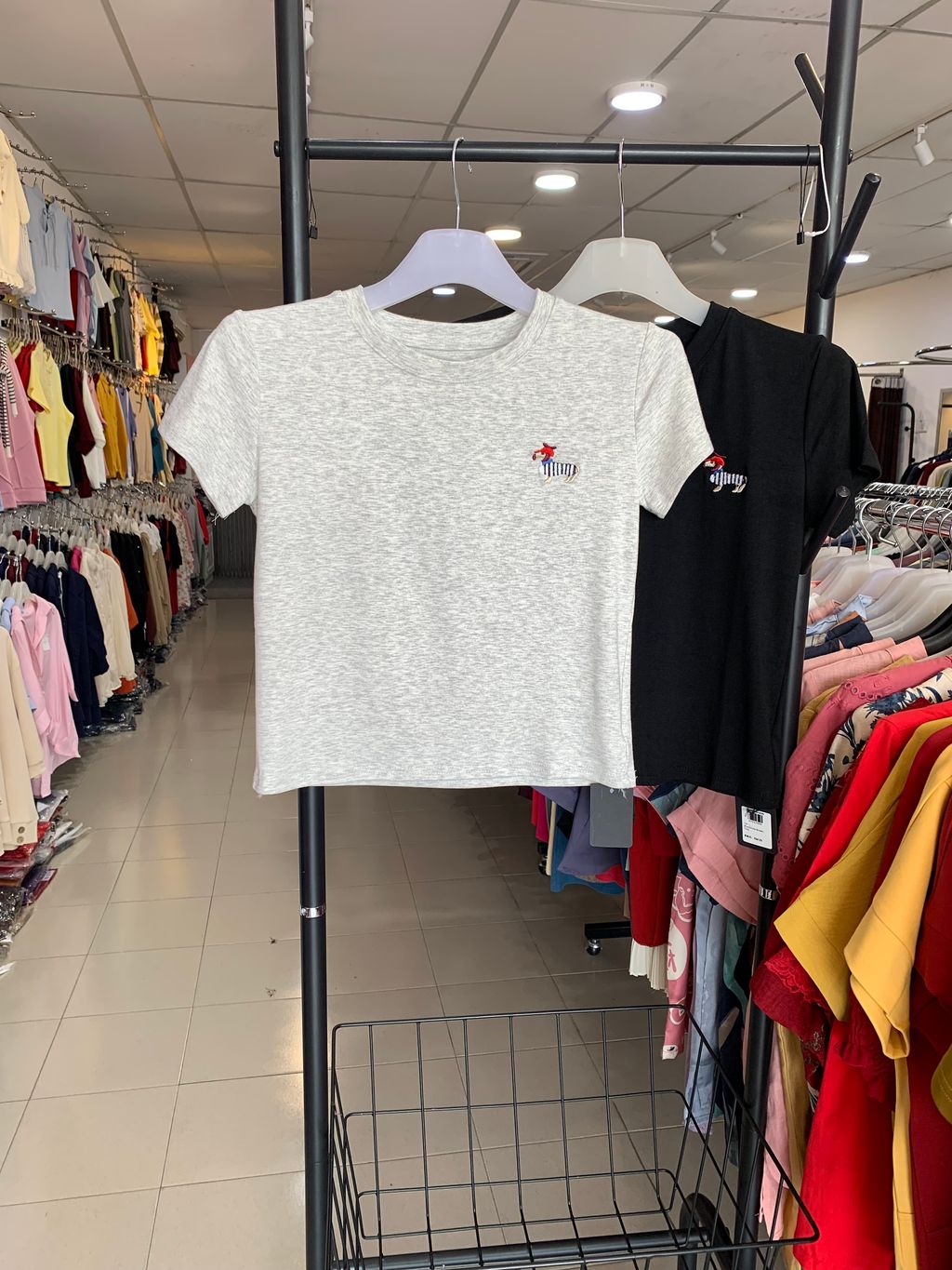 image_B60A81FD-6216-4D75-A008-380C4EA437D5_1769490475