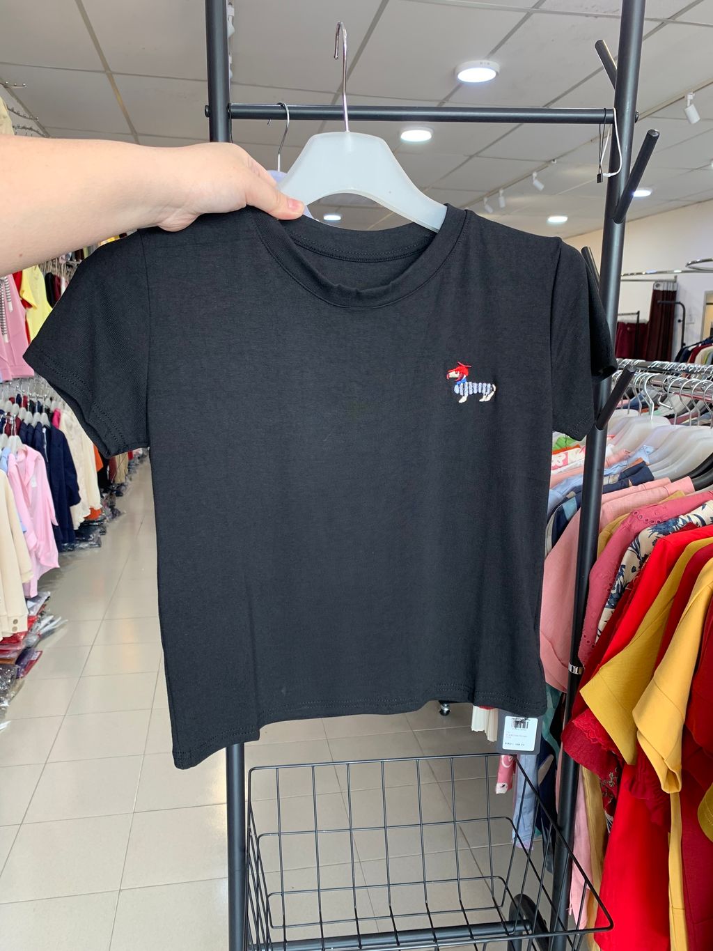 image_D730B108-0C34-4C6B-8CA3-4FE248D0F1D1_1769490495