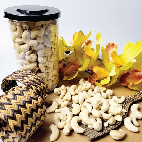 240-cashew-1