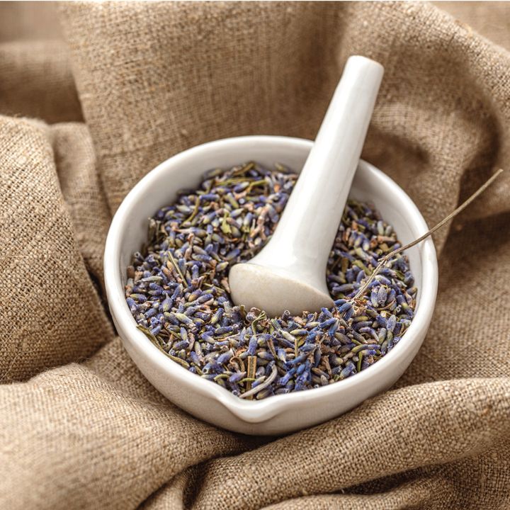 lavender-1