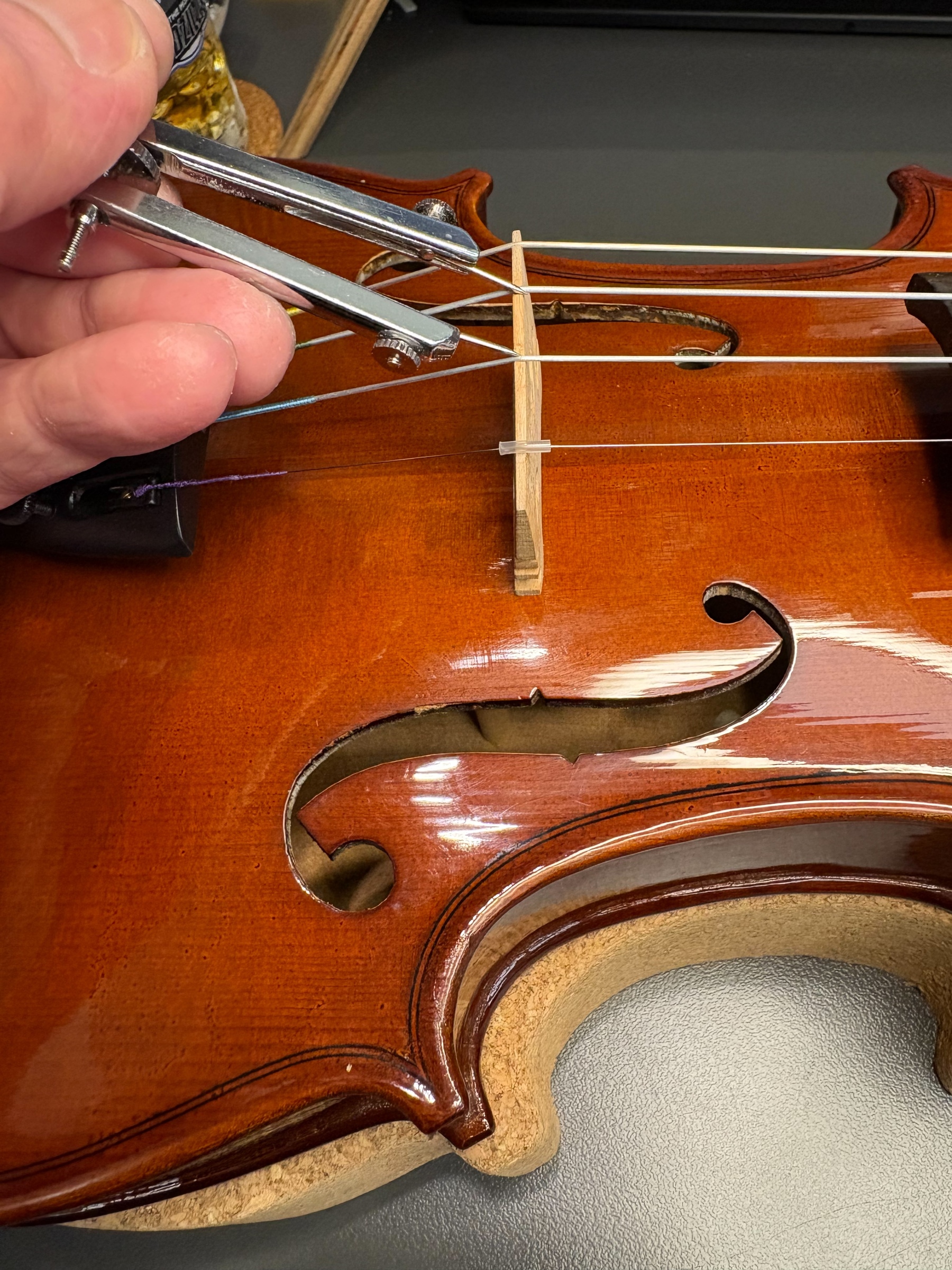 S__36266046_0