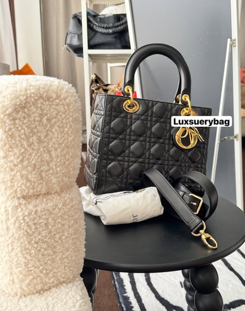 Screenshot 2026-03-03 005902