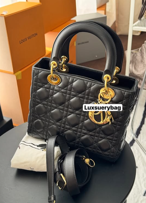 Screenshot 2026-03-03 005909