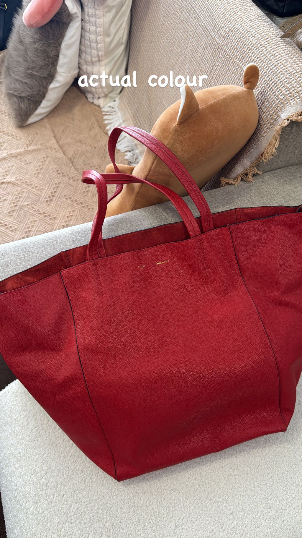 image_59507B94-1118-4171-9805-1F048E66AAA8_1774175633