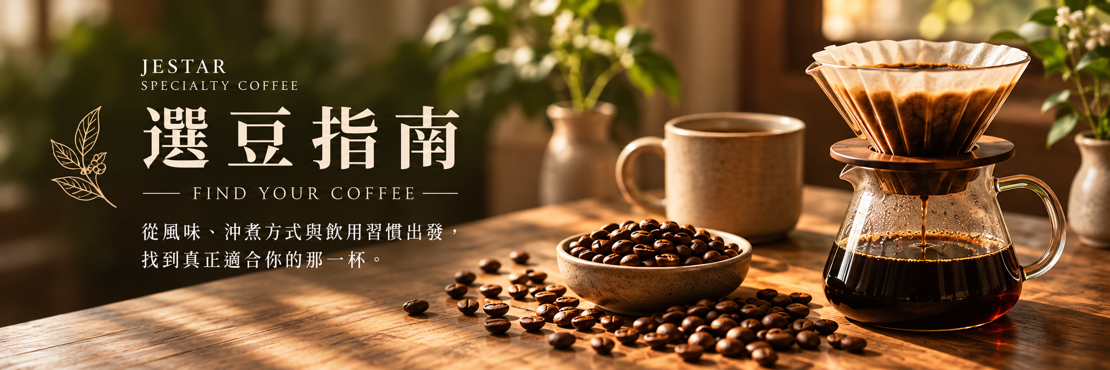 暖陽咖啡選豆指南