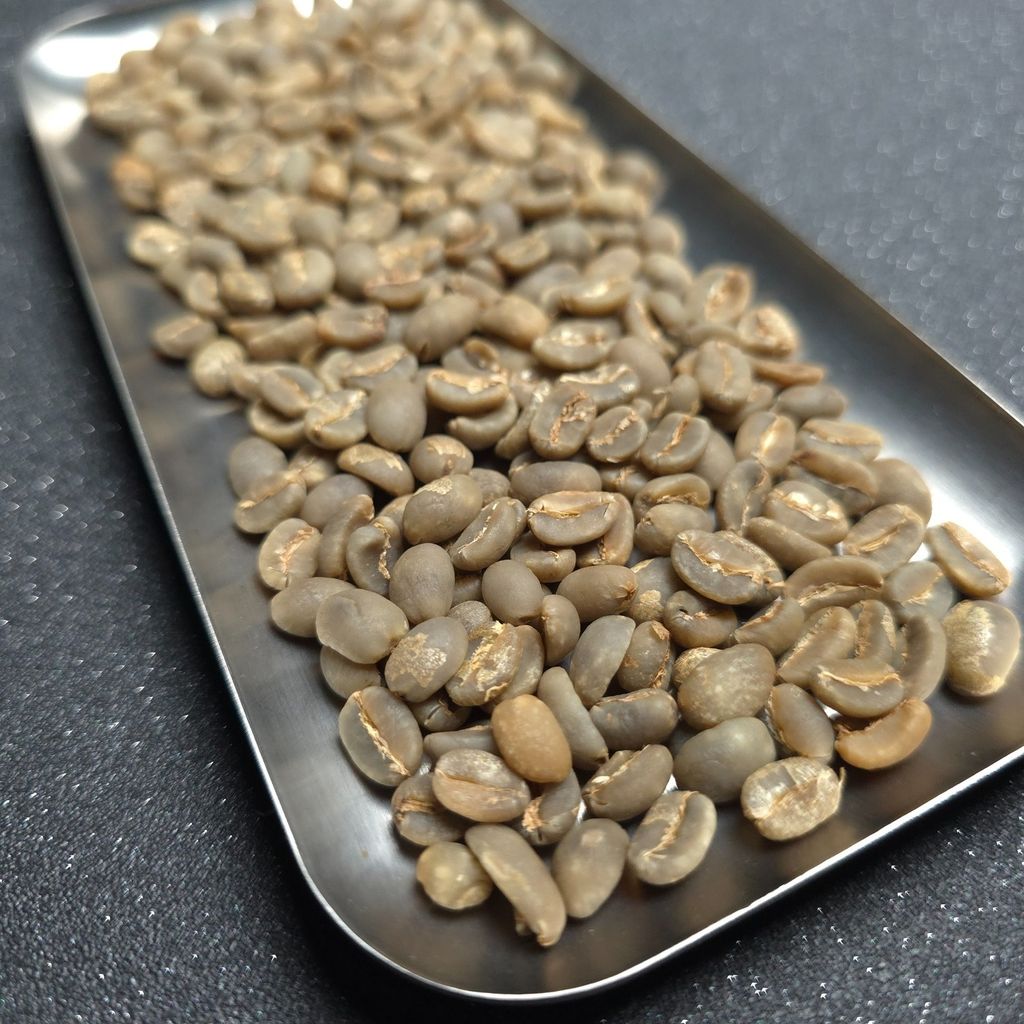 琥珀黑糖_生豆實拍_02