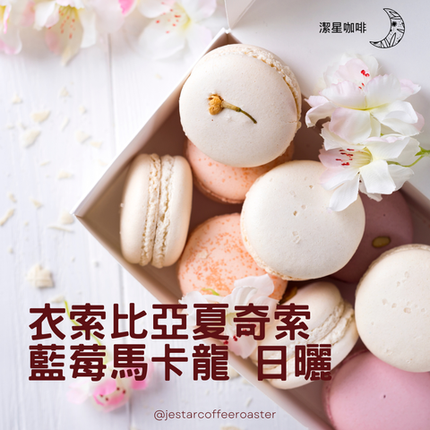 衣索比亞夏奇索藍莓日曬 (1)