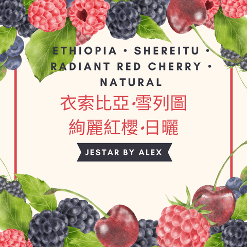 衣索比亞•雪列圖•絢麗紅櫻•日曬