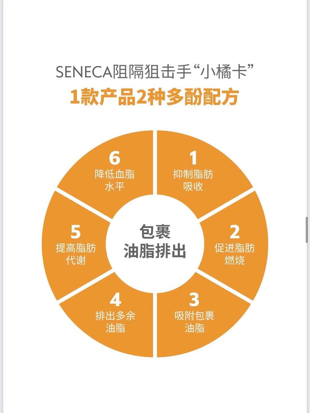 a9d30f9f254bbc38a5eb5575b1fa955c