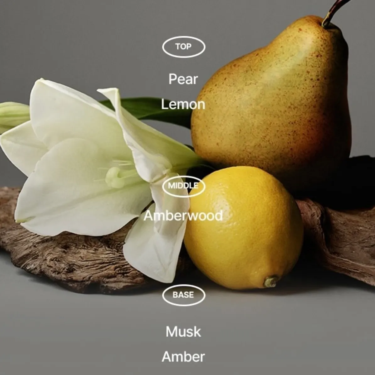 image_2F88A871-5DAA-472D-B7BF-CF1F7C1BCCEE_1762876359