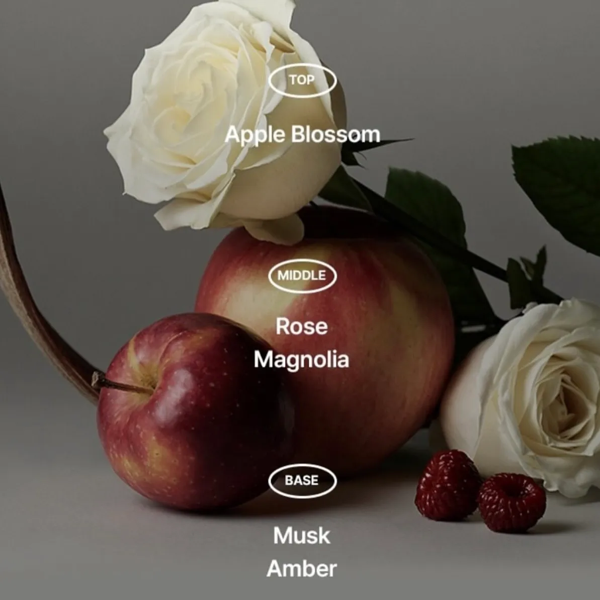 image_9272CF0A-15D2-4A12-B42C-449D93A68474_1762876359