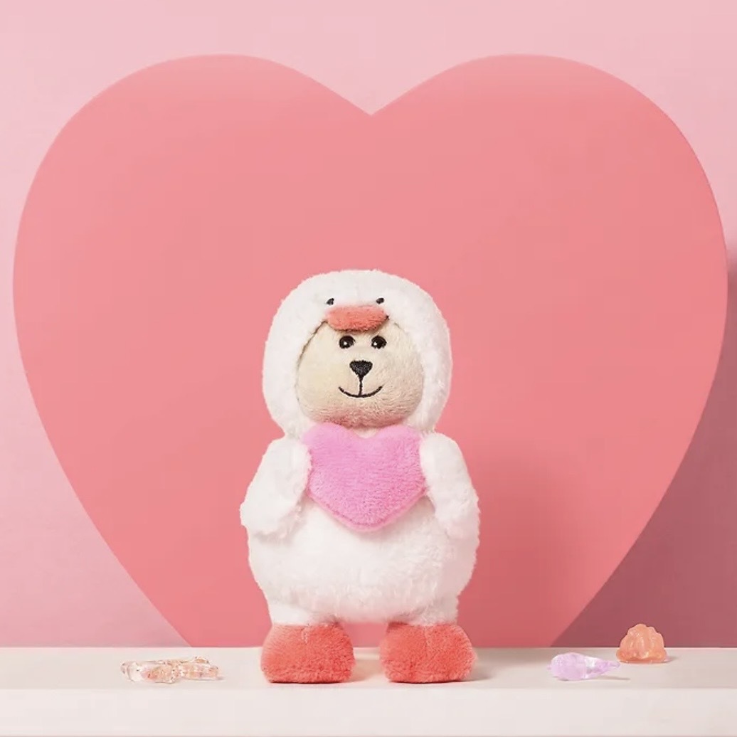 image_C6F611D1-56AE-4567-A2B2-A8656E4185F0_1770035843