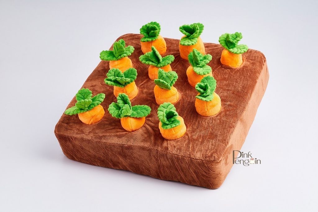 Carrot Set (1)