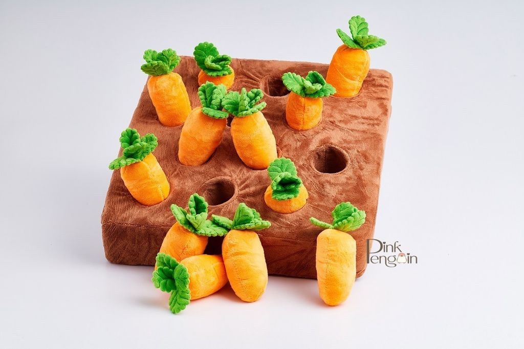 Carrot Set (2)