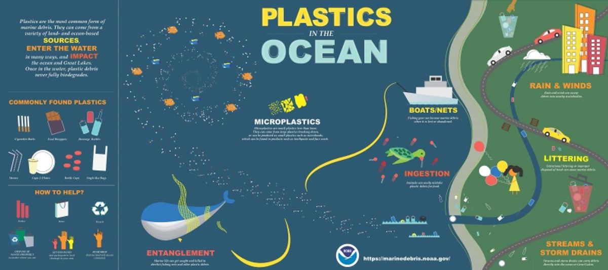 The Impacts of Plastic