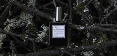 image_D8D915A4-1608-4F57-B372-CB8F0EDA7D98_1771647874