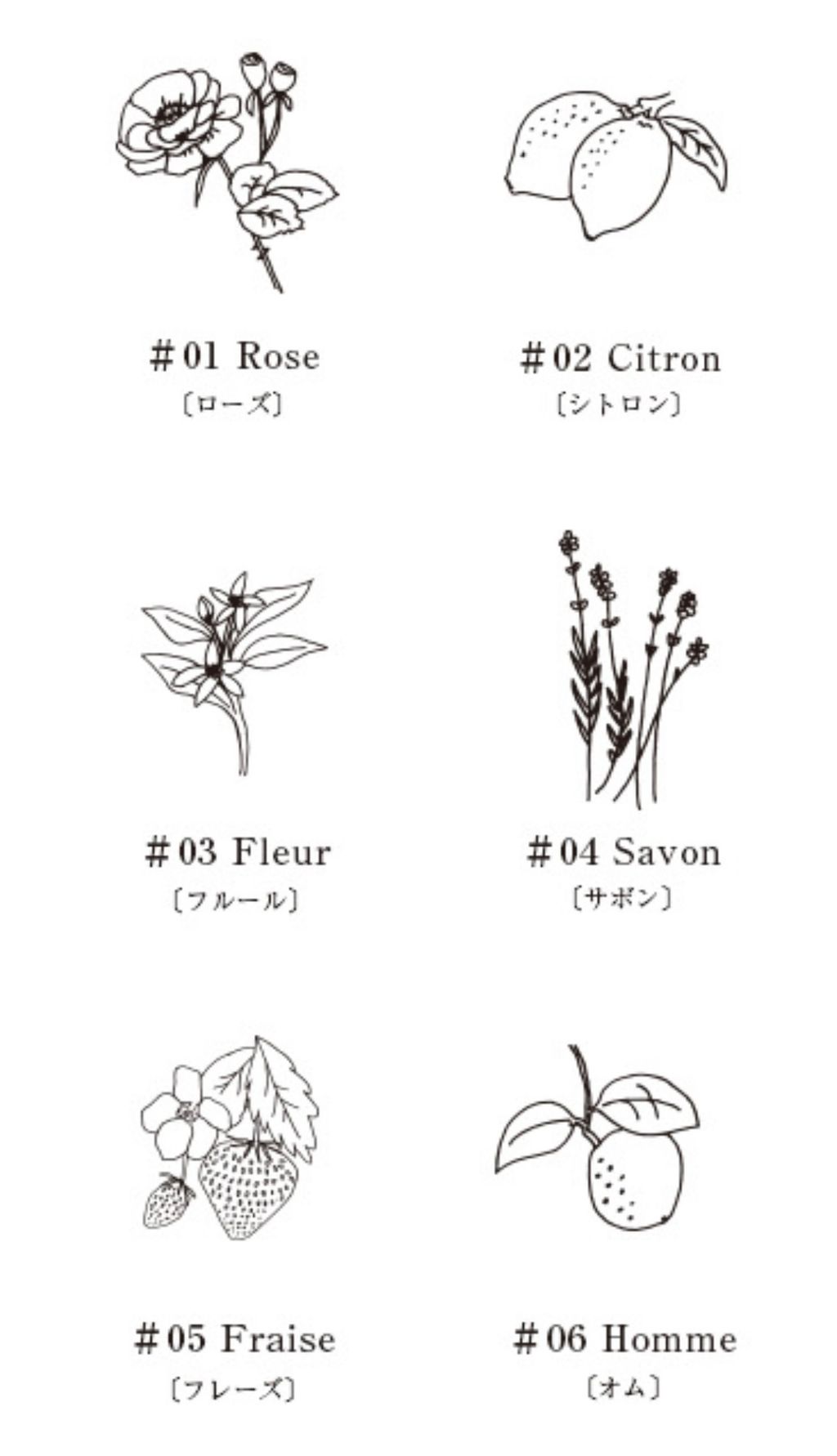 image_F188CF20-A299-4030-BB59-379C0A20F797_1771647918