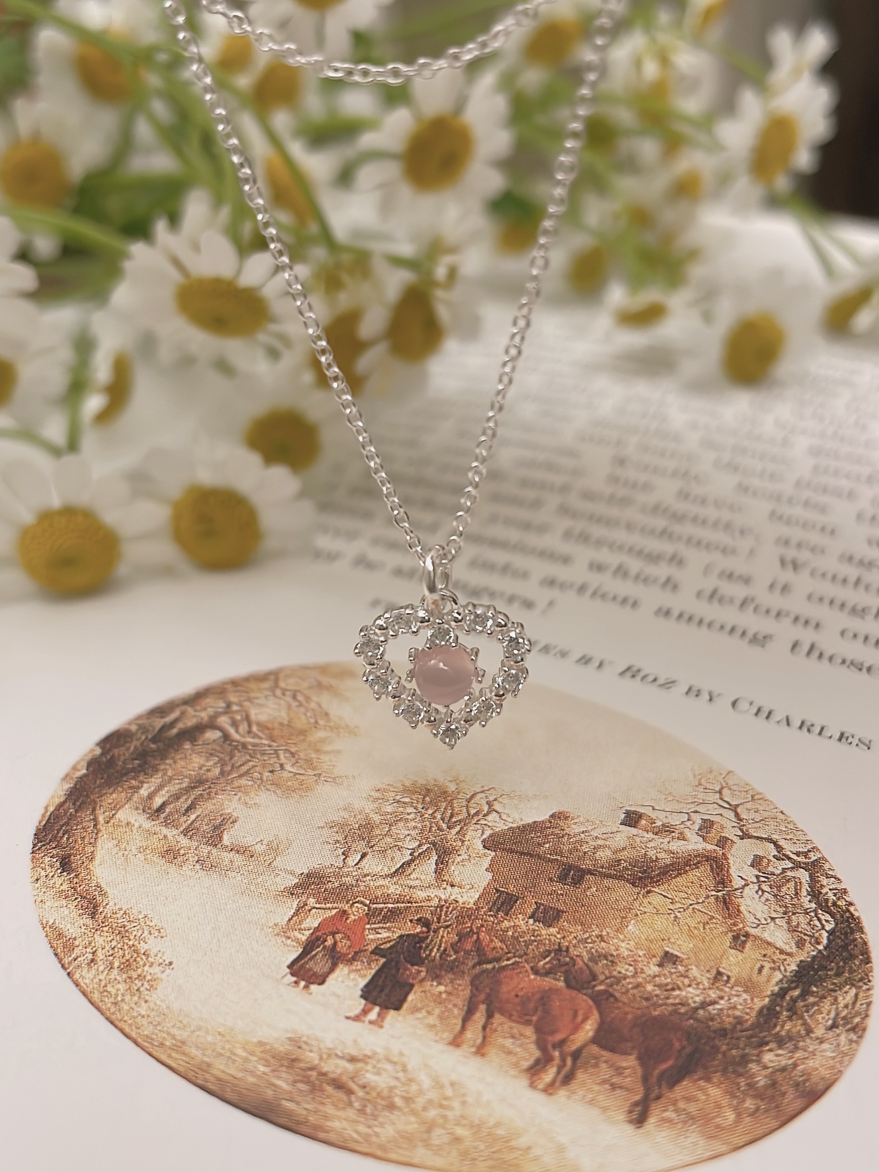 IMG_6733-1742666777667