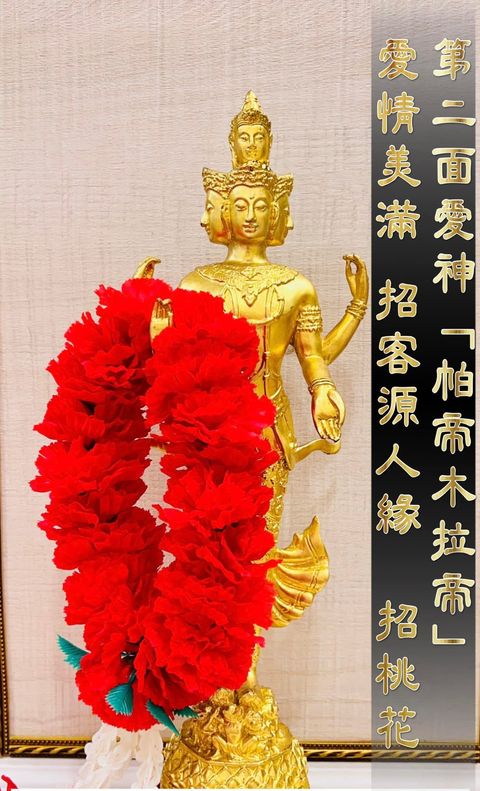 IMG_6382-1735548392951