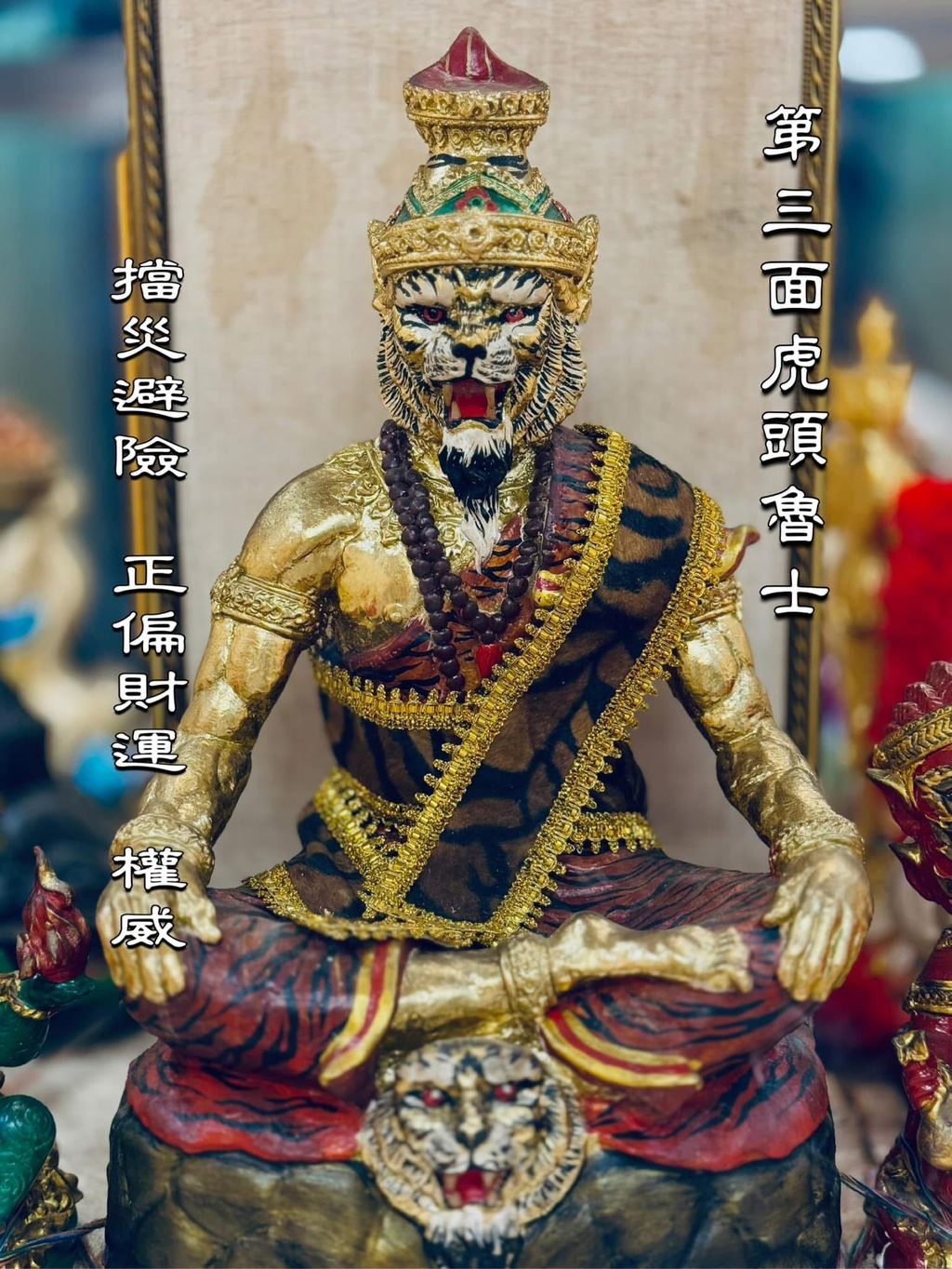 IMG_6383-1735549869968