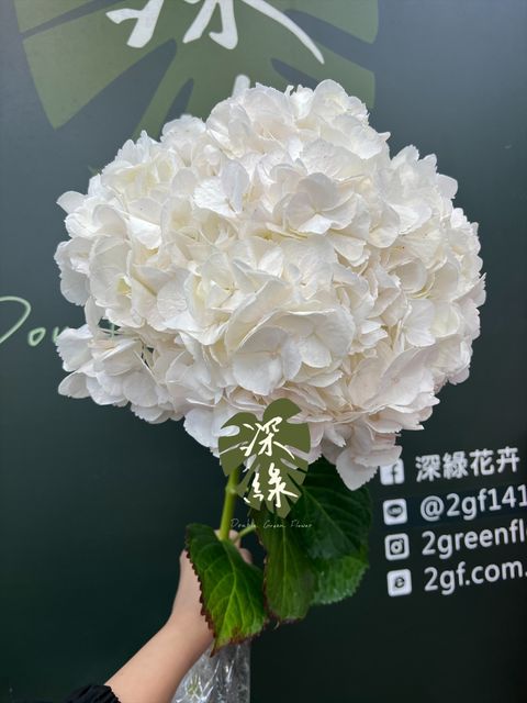 image_B88594D6-F277-4225-ABD5-E983E9BC571D_1772464186