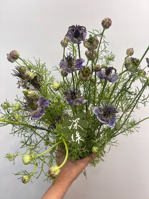 image_A0783A70-4C32-4DB8-8E5B-1EE5290EEFFE_1772496729