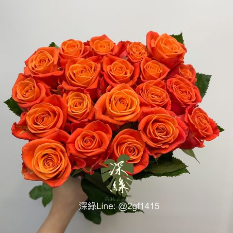 image_18760F47-F9C1-4C1A-A72B-B5B6509CDB9F_1772499685