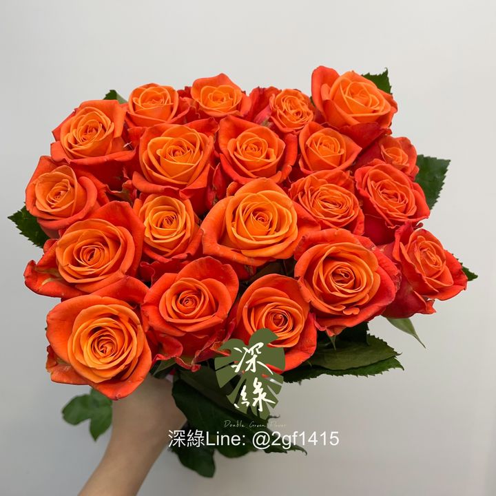 image_18760F47-F9C1-4C1A-A72B-B5B6509CDB9F_1772499685