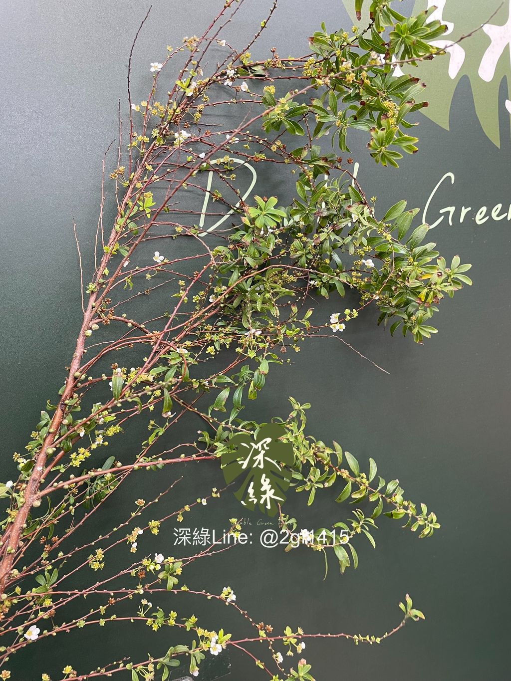 image_0B8B45E6-7C7F-49AB-A42E-30A9376C2A38_1772508215