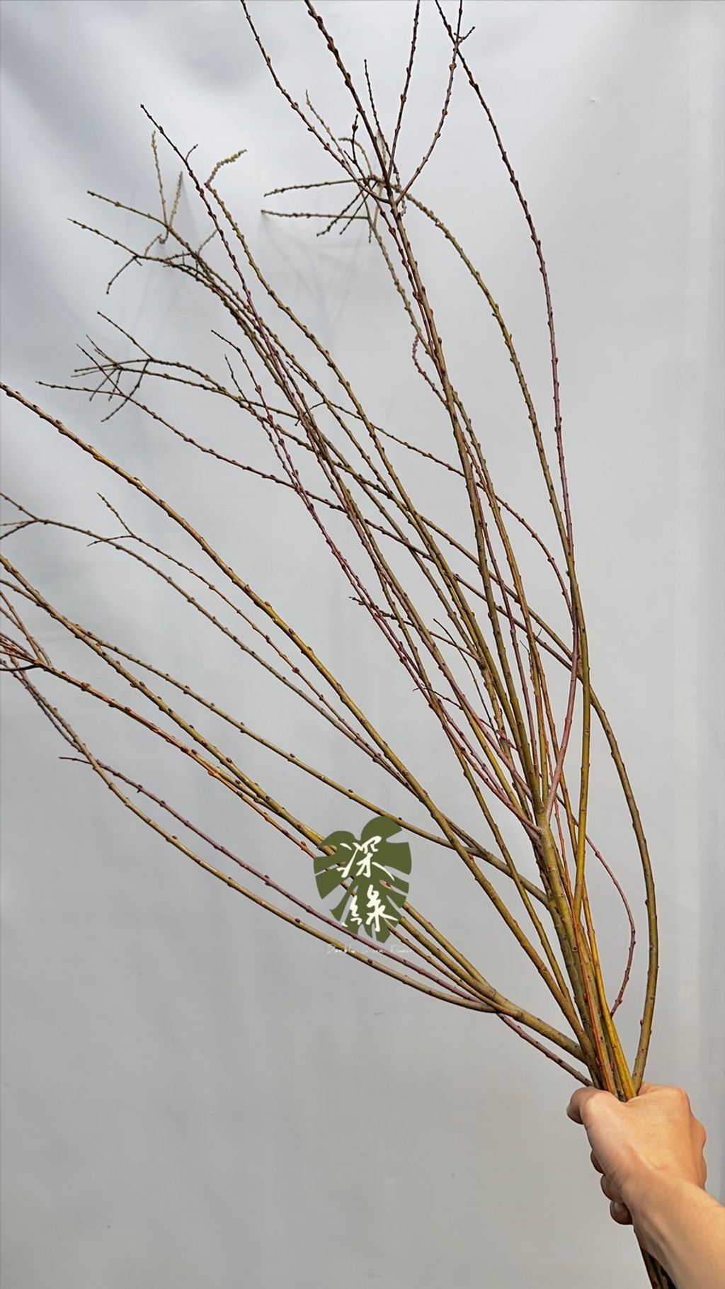 image_8D93C11B-13B5-46D4-8B01-A0565046FCEC_1772516598