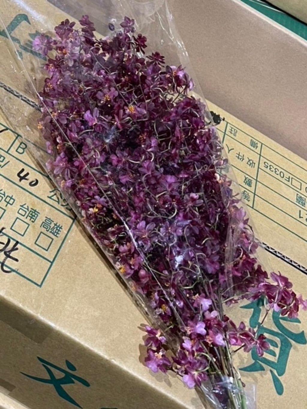 image_68E6C260-E353-4A90-96AA-1CDC61F1ADBA_1772516707