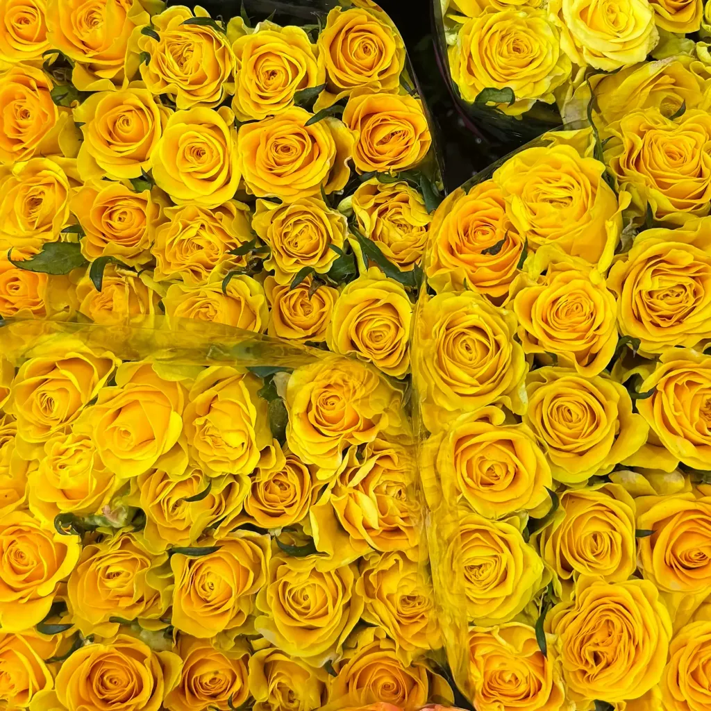 image_992B5676-1055-4290-A7EC-3FE84F3EE49F_1772429931