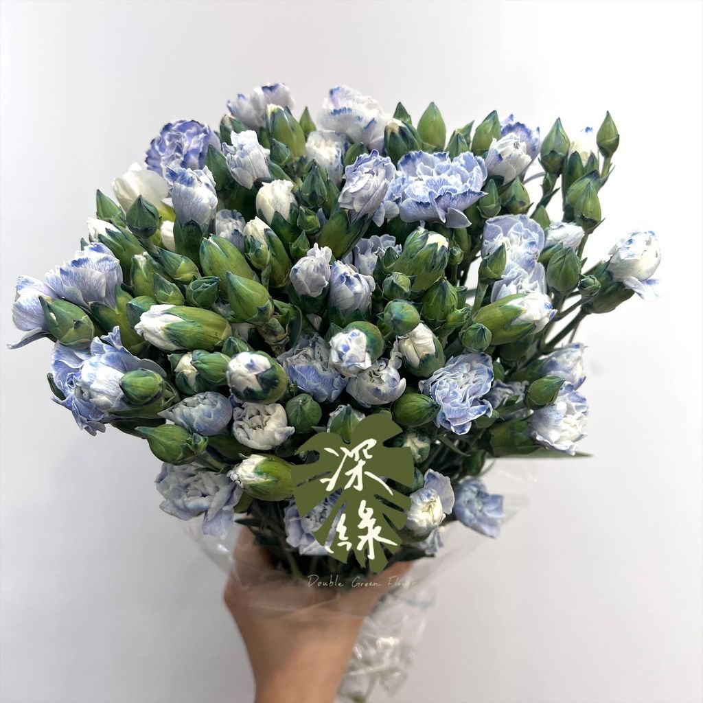 image_9E374782-5F51-47C3-8FBE-FCC9DAFF9DE6_1772590663