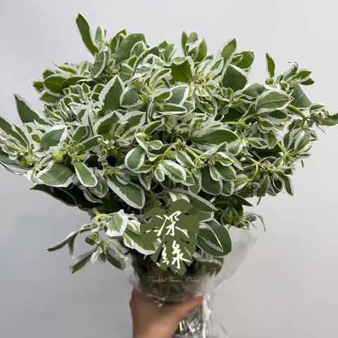 image_DBABF0FB-C19C-4A91-B0D0-3D67AA442D92_1772592739