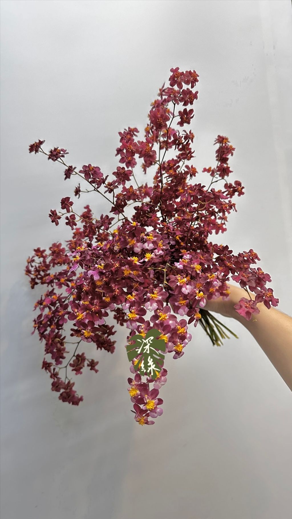 image_B4C26D5B-AB72-4AEA-8F8F-49673A6B1AA2_1772593587